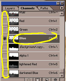 Make sure just the Blue Channel si selected